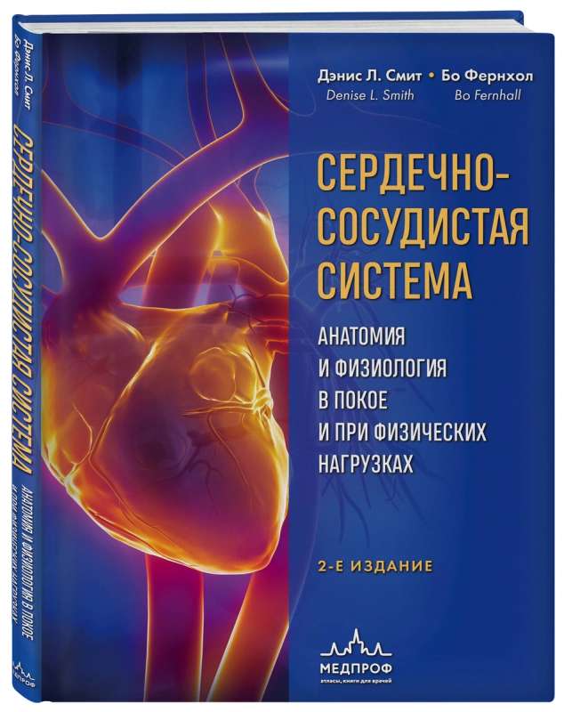 Cardiovascular system. Anatomy and physiology at rest and during physical activity