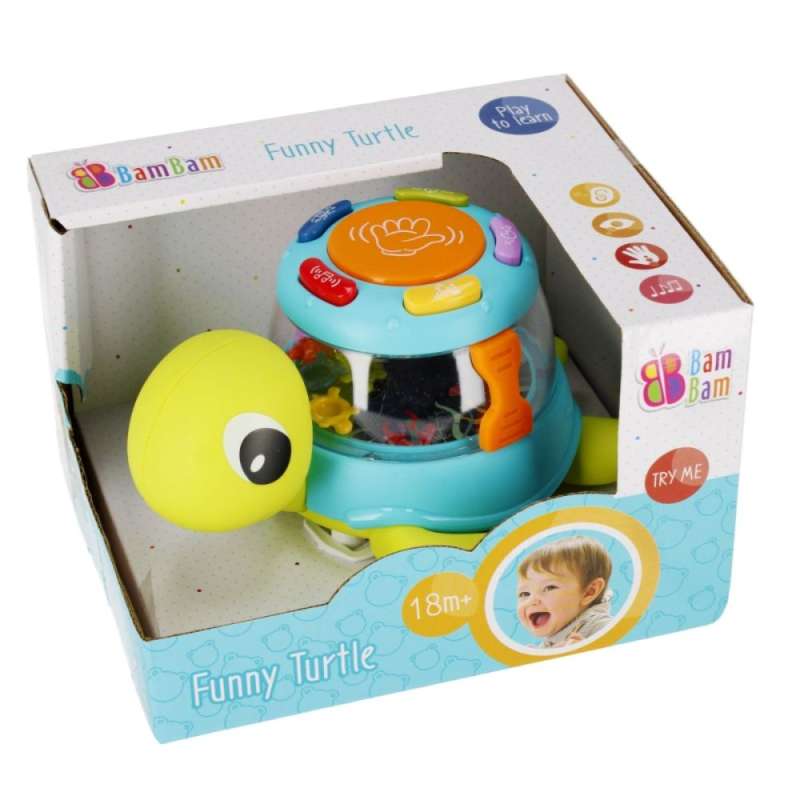 Musical Toy - Turtle