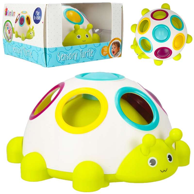 Developing Toy - BamBam: Turtle