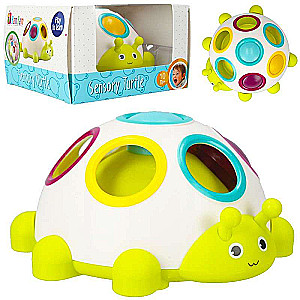 Developing Toy - BamBam: Turtle