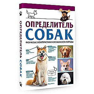 Dog Identifier. Physical Characteristics and Breed Features