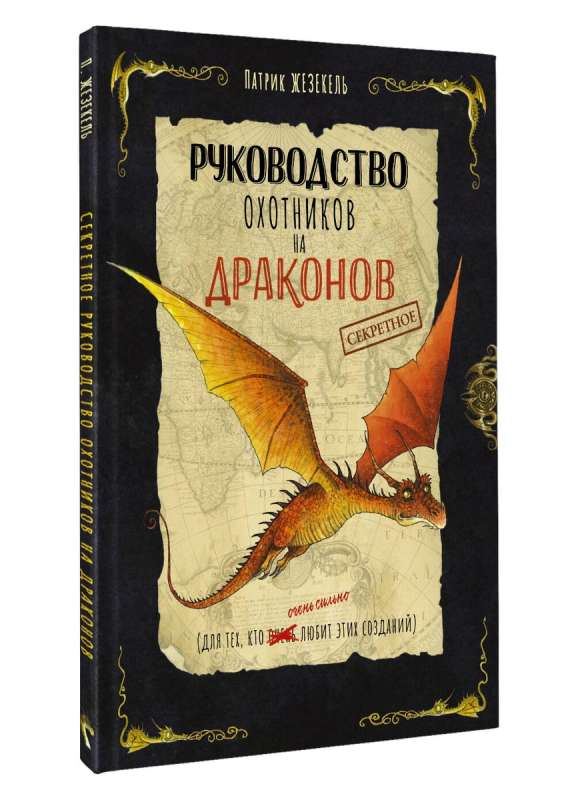 The Secret Guide to Dragon Hunters