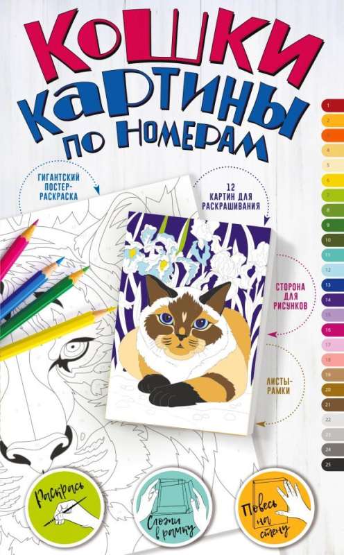 Paint by Numbers. Cats