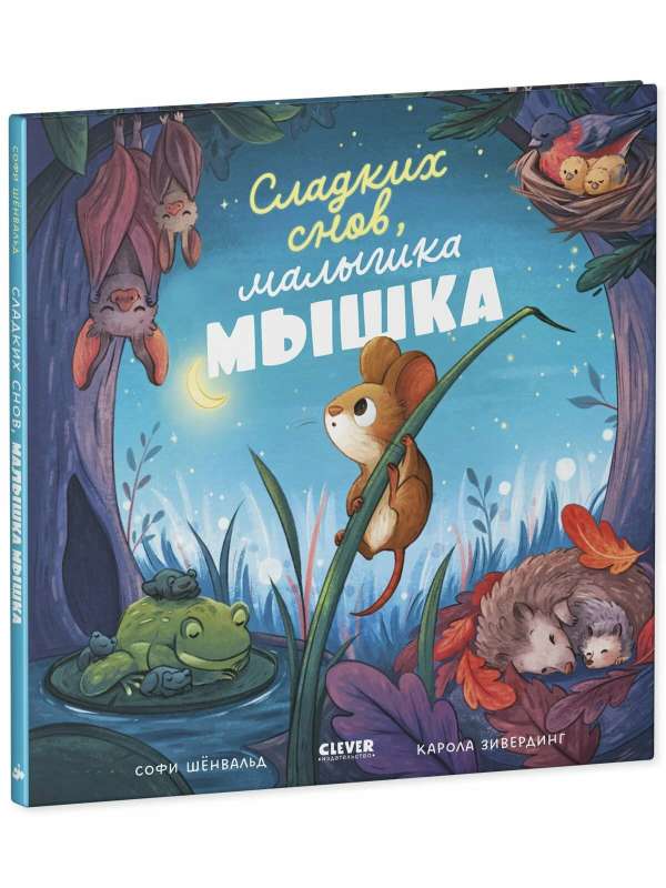Picture Books. Sweet Dreams, Little Mouse!