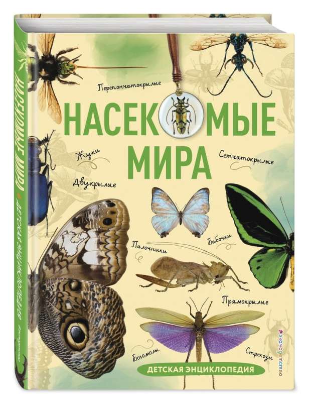 Insects of the World. Children's Encyclopedia
