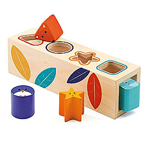 Developmental Wooden Game: Djeco Sorter - Boita