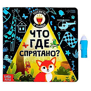 Book with a flashlight - What is hidden where?