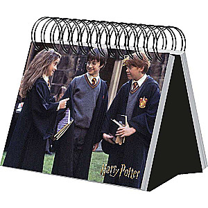 Harry Potter. Multi-Year Desk Calendar in a Case