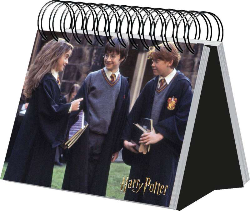 Harry Potter. Multi-Year Desk Calendar in a Case