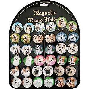 Magnet - Dog 3.5cm, mix