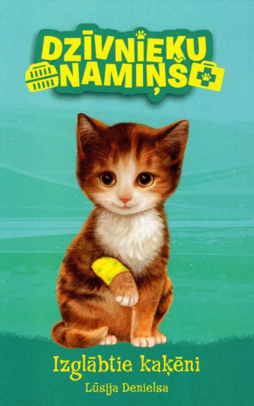 Animal House. Rescued Kittens