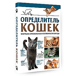 Cat Guide. Physical Characteristics and Breed Features