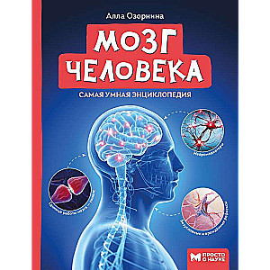 The Human Brain: The Smartest Encyclopedia