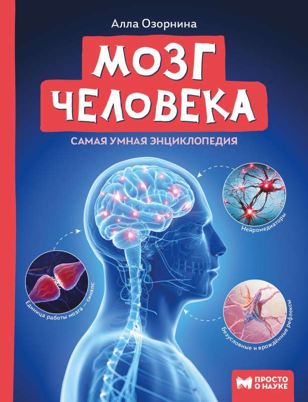The Human Brain: The Smartest Encyclopedia