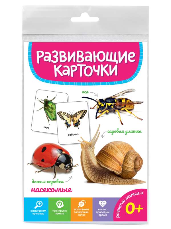 Educational Cards. Insects