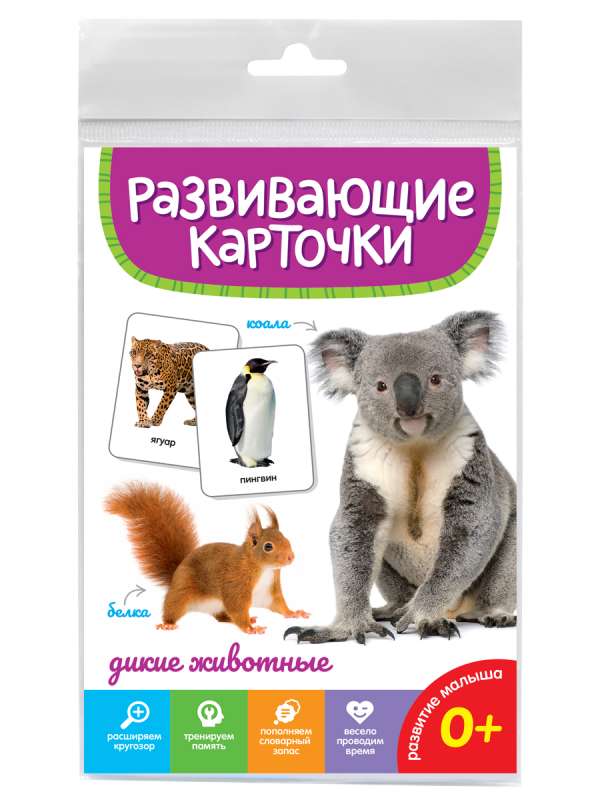 Educational Cards. Wild Animals