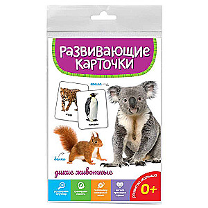 Educational Cards. Wild Animals