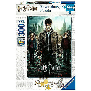 300 Piece Puzzle Harry Potter