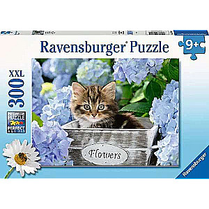 Puzzle 300 Kitten