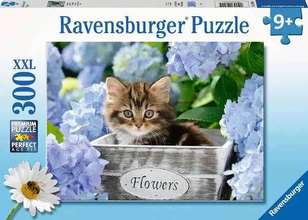 Puzzle 300 Kitten