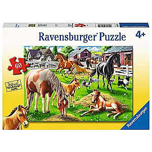 Puzzle 60 Happy Horses