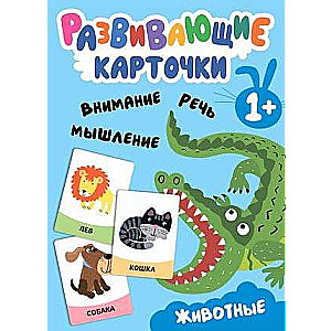 Educational Cards. Animals