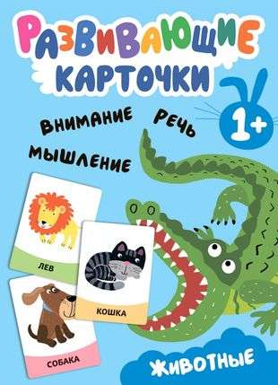 Educational Cards. Animals