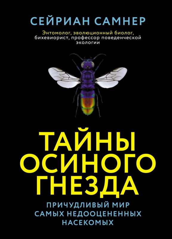 The Secrets of the Wasp Nest: The Peculiar World of the Most Underrated Insects