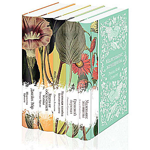 Collection of Elegant Classics Set of 5 Novels: Jane Eyre, Far from the Madding Crowd, The Little House at Big Hill, Wuthering Heights, ...