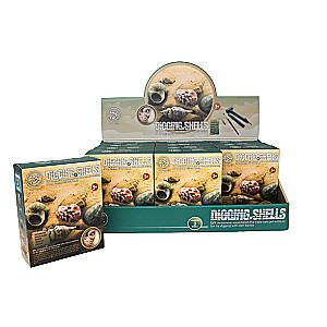 Archaeological Game, Digging - Digging of Shells