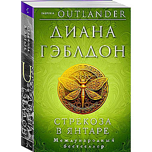 Dragonfly in Amber