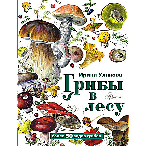Mushrooms in the Forest