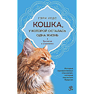 The Cat with One Life Left