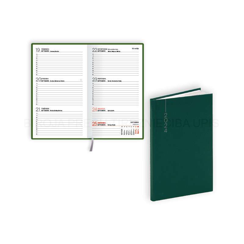 Pocket calendar A6 2024 POCKET, balacon flex, green