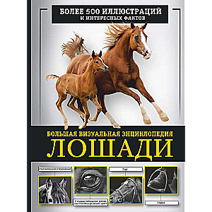Horses. The Big Visual Encyclopedia