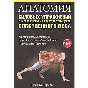 Anatomy of Strength Training Using Body Weight as Resistance