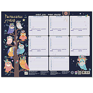 Lesson Schedule. Cute Owls. 28.5x40 cm.
