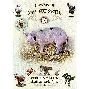 Meet! In the countryside. Observe and learn, stick and play