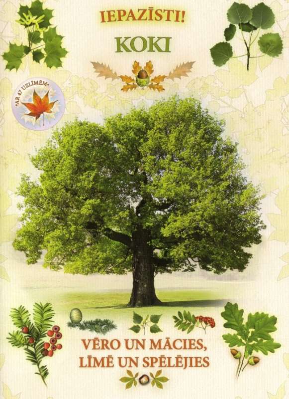 Meet! Trees. Observe and learn, glue and play