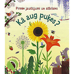 How do flowers grow?