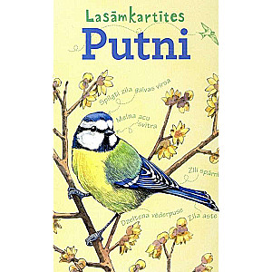 Flashcards. Birds