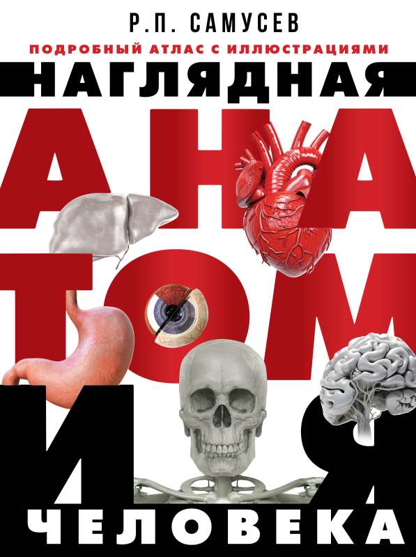 Visual Anatomy of the Human Body. Detailed Atlas with Illustrations