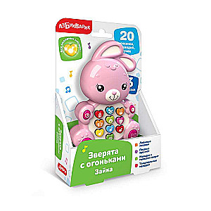 Musical Toy - Bunny