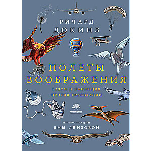 Flights of Imagination