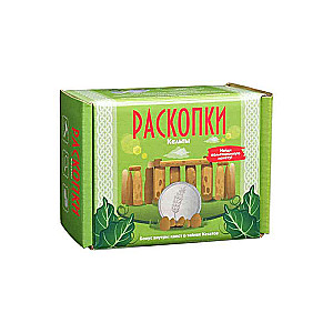 Excavation Kit with Coins - Celts 11.5 x 8.5 x 6.5