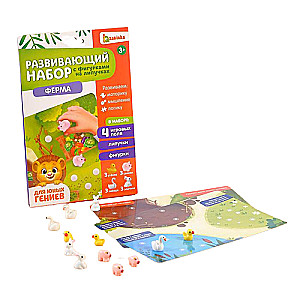 Developing Set with Velcro - Farm