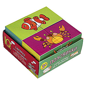 Smart Cubes in a Tray. 4 Pieces. Halves