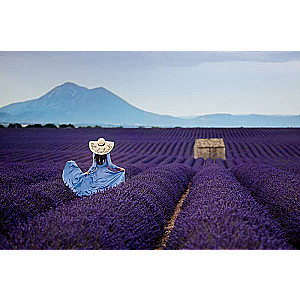 Paint by Numbers 30x40 cm Lavender Field, 20 colors, 4 sets