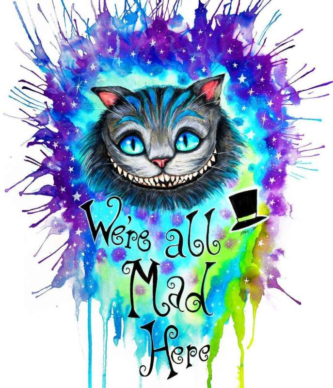 Paint by Numbers 30x40 cm Cheshire Cat, 20 colors, set 4
