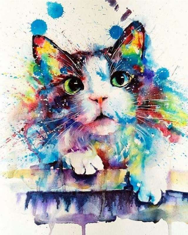 Numbered Paintings 30x40 cm Colorful Cat, 20 colors, level 4